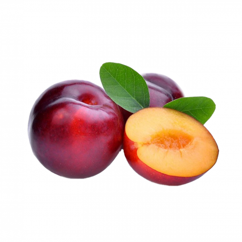 برقوق احمر سانتا روزا