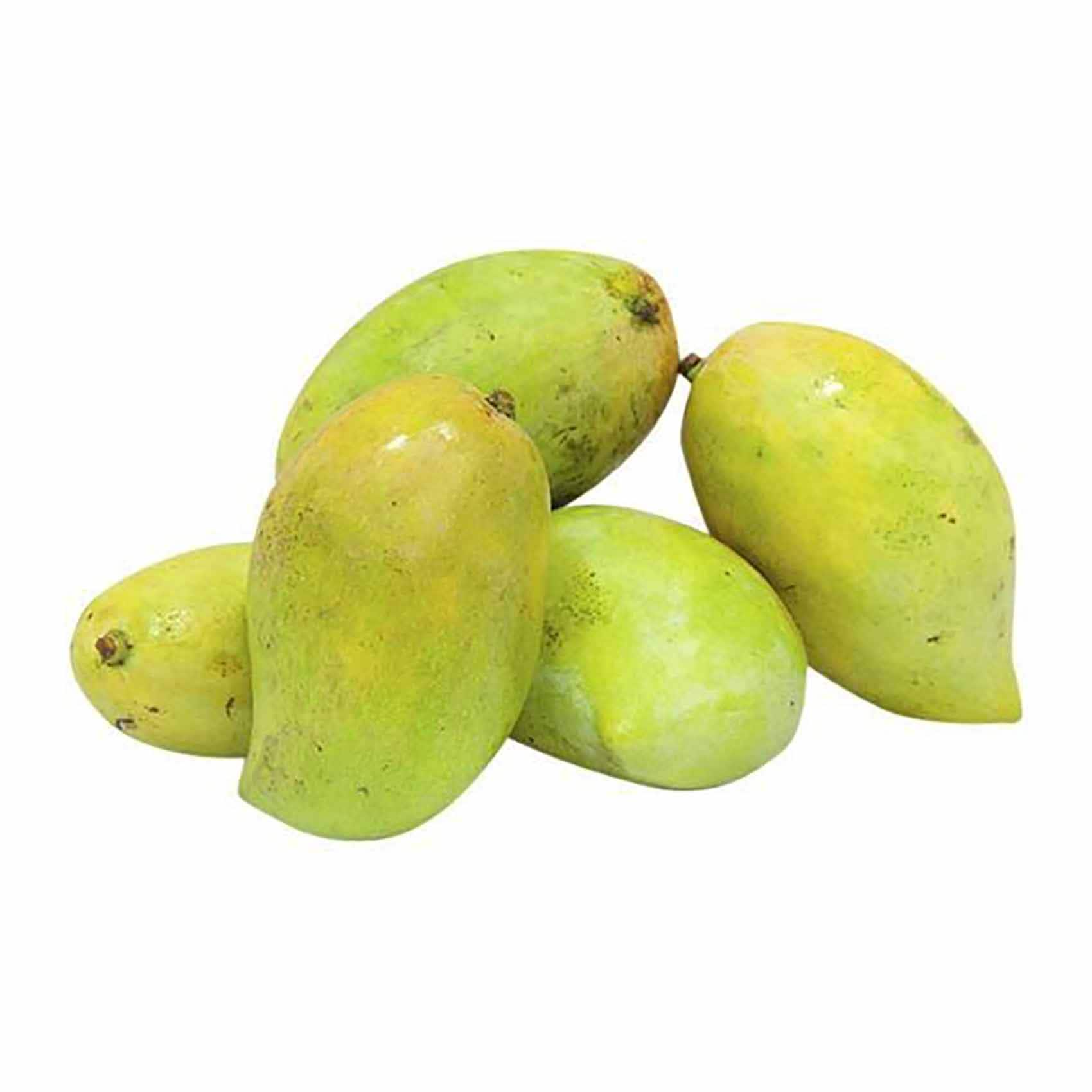 مانجو صديقه