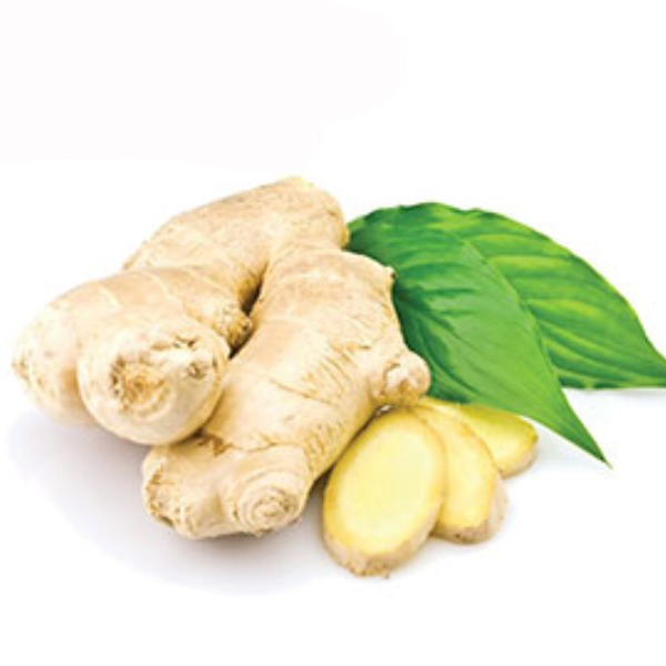 زنجبيل فريش