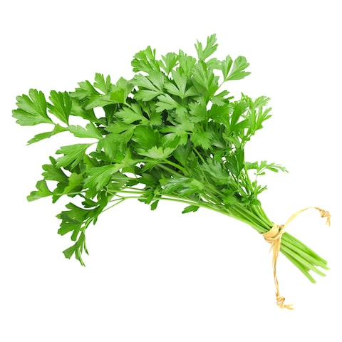 بقدونس اخضر